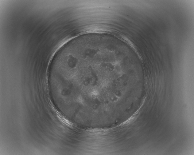 X0000064720779200602241638