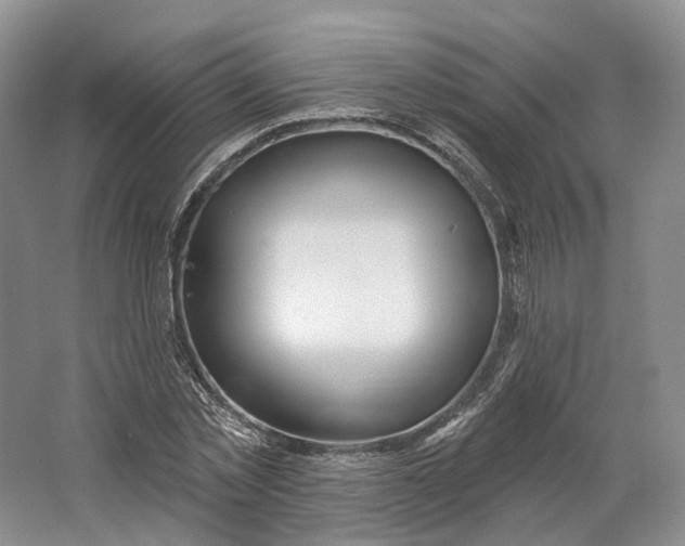 X0000064720781200602241638