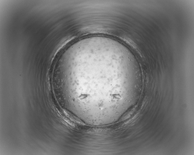 X0000064720782200602241638