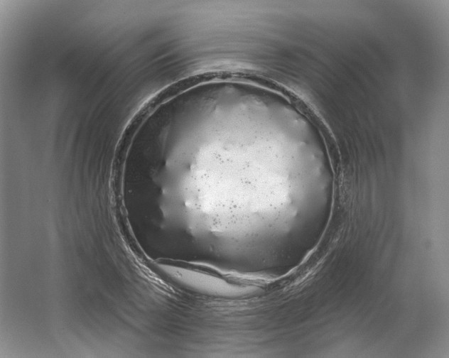 X0000064720783200602241638