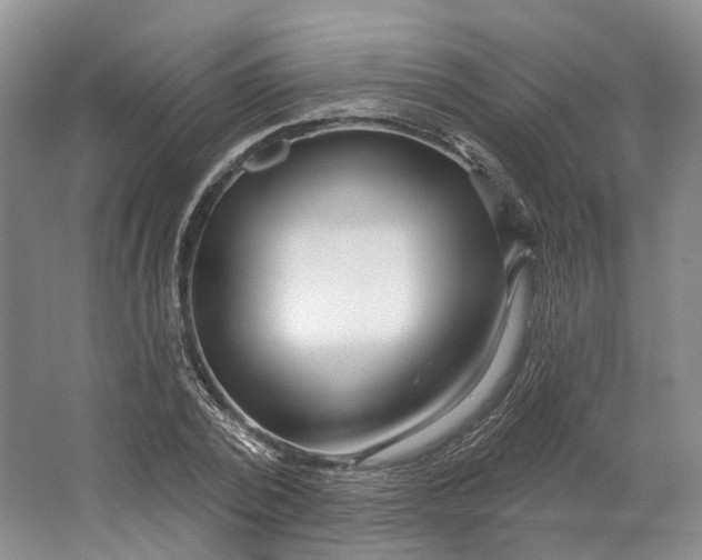 X0000064720784200602241638