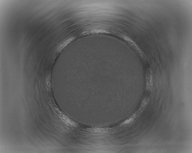 X0000064720785200602241638