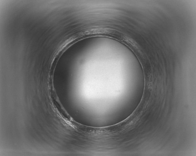 X0000064720786200602241638