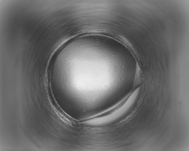 X0000064720787200602241637