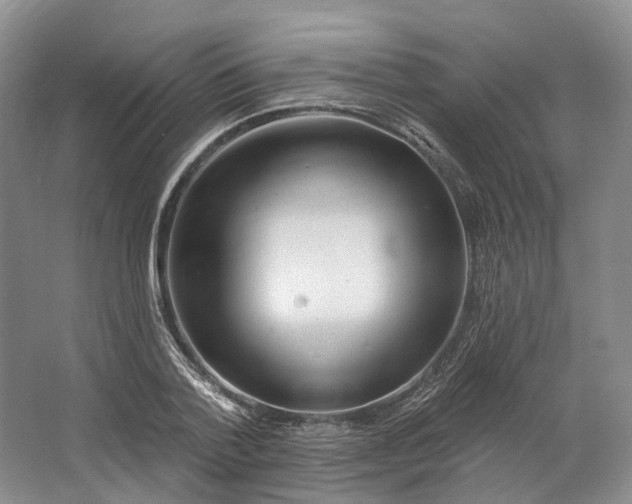 X0000064720788200602241637