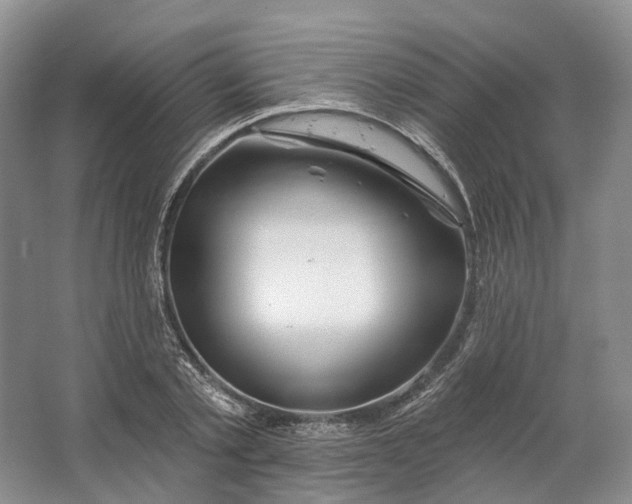 X0000064720789200602241637