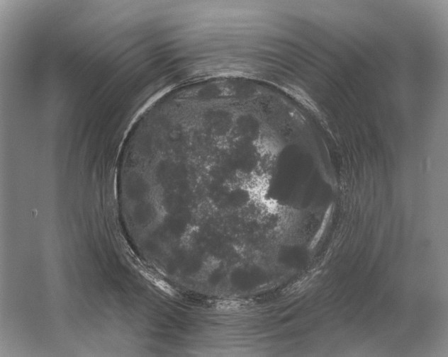 X0000064720790200602241637