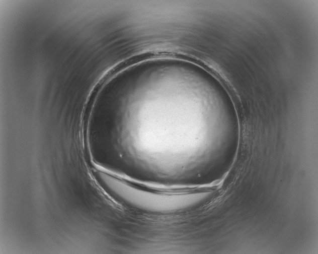 X0000064720791200602241637