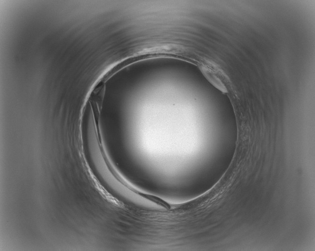 X0000064720792200602241637