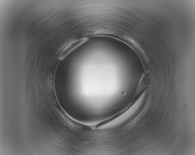 X0000064720793200602241637