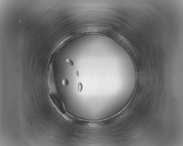 X0000064720794200602241637