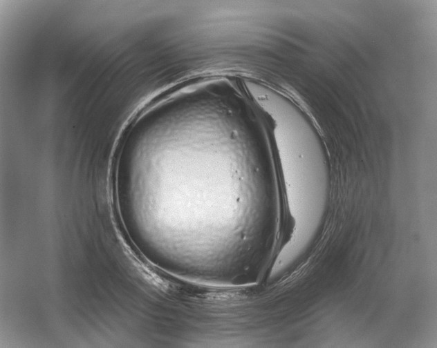 X0000064720795200602241637