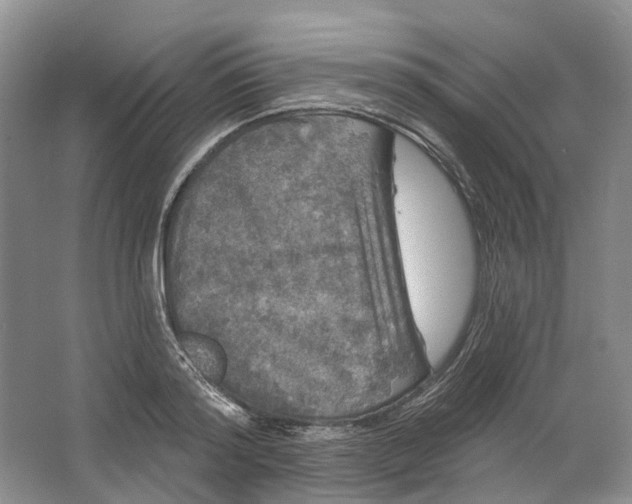 X0000064720796200602241637