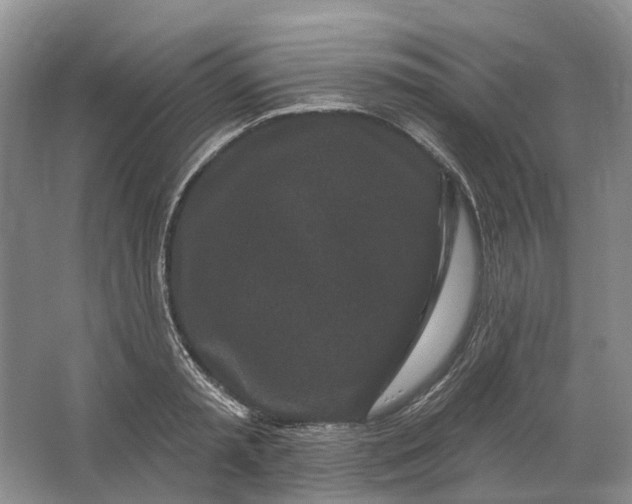 X0000064720797200602241637