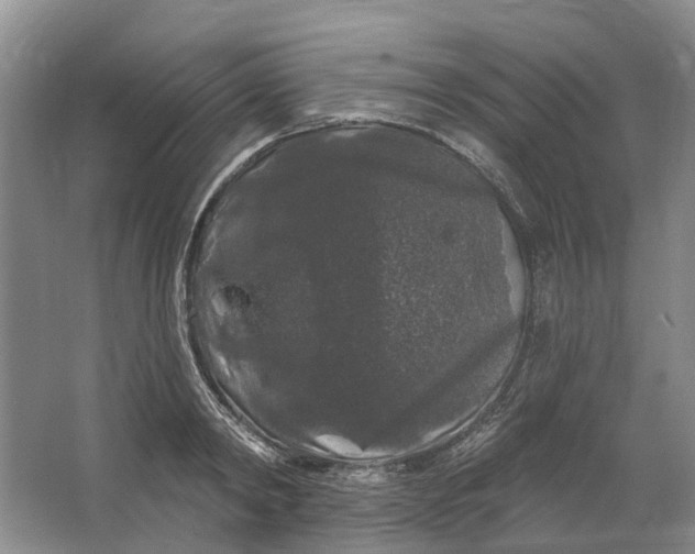 X0000064720798200602241637