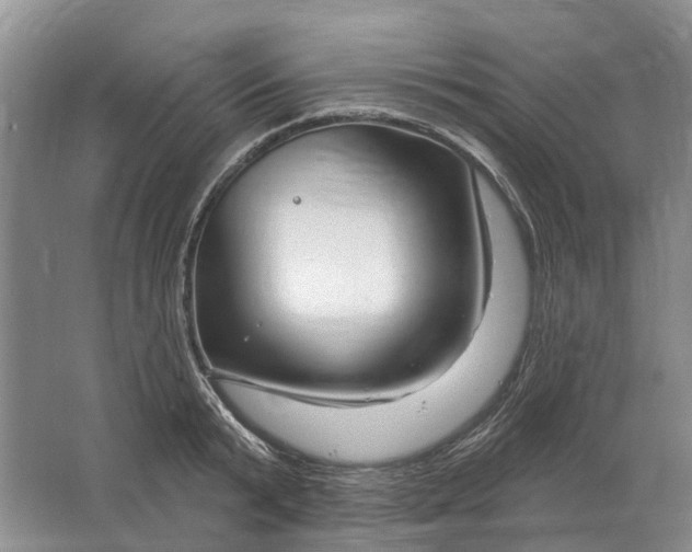 X0000064720799200602241637