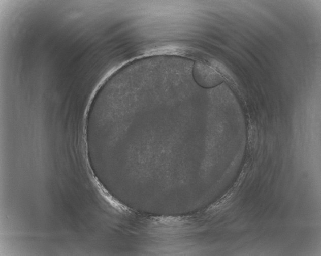 X0000064720800200602241637