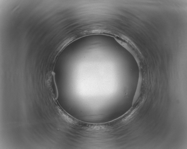 X0000064720801200602241637