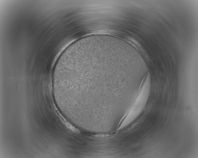 X0000064720804200602241637