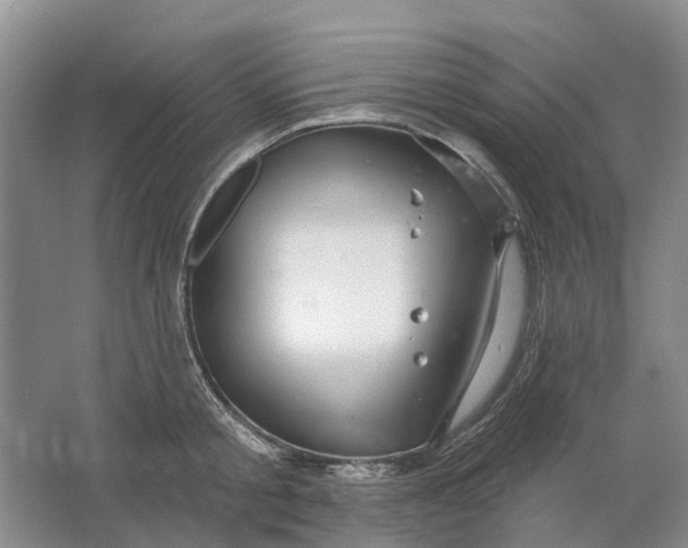 X0000064720805200602241637