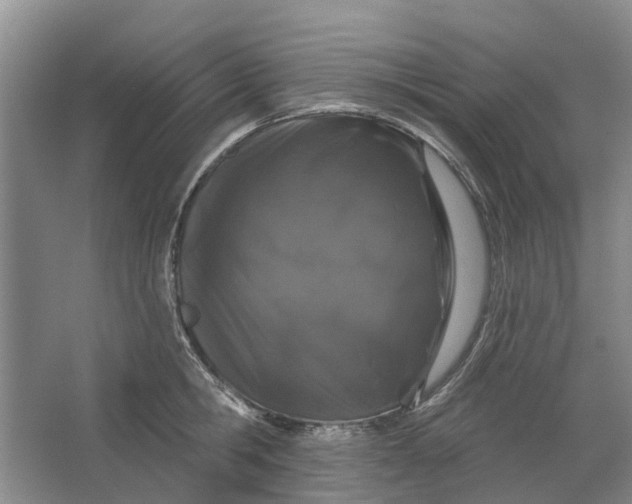 X0000064720806200602241637