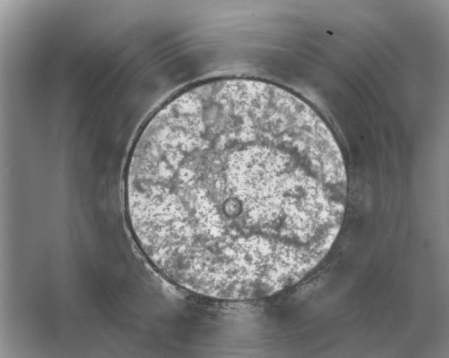 X0000064720807200602241637