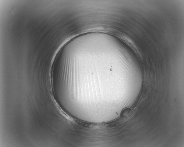 X0000064720808200602241637