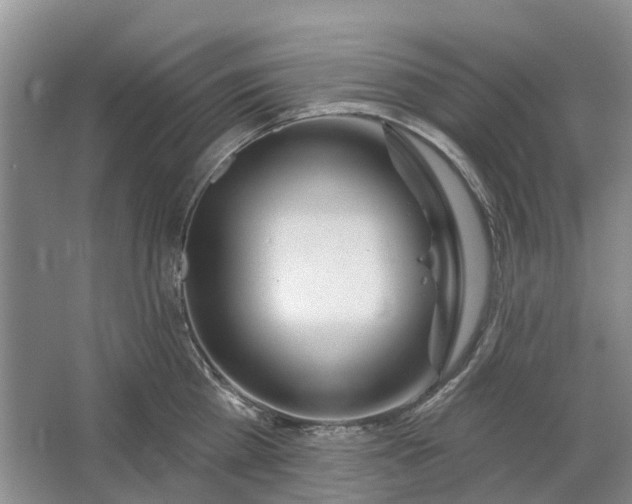 X0000064720809200602241637