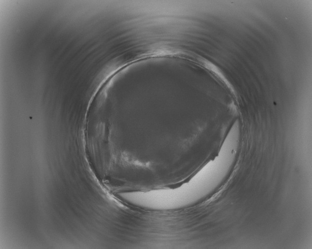 X0000064720810200602241637