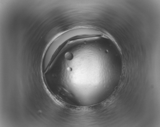 X0000064720811200602241637