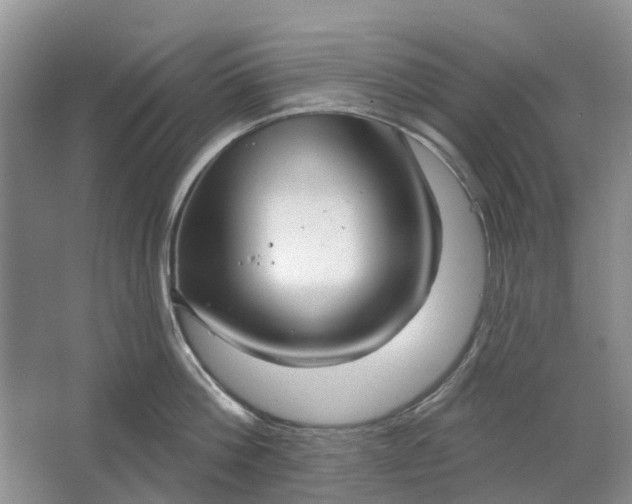 X0000064720812200602241637