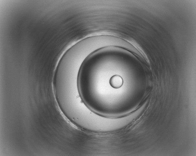 X0000064720813200602241637