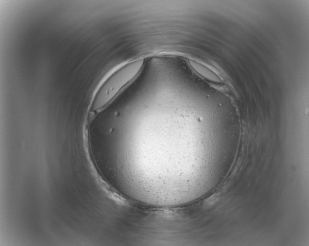 X0000064720814200602241637