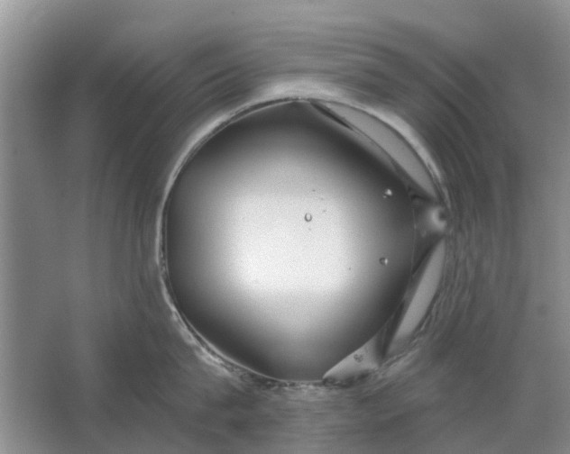 X0000064720815200602241637