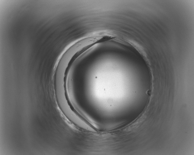 X0000064720816200602241637