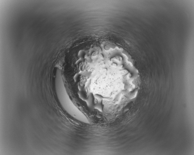 X0000064720817200602241636