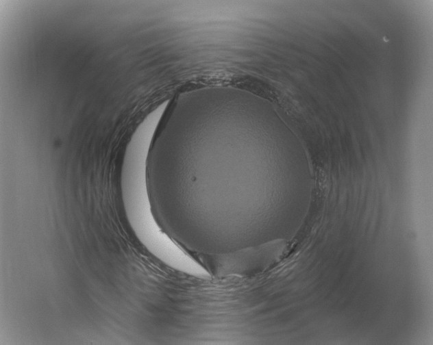 X0000064720818200602241636