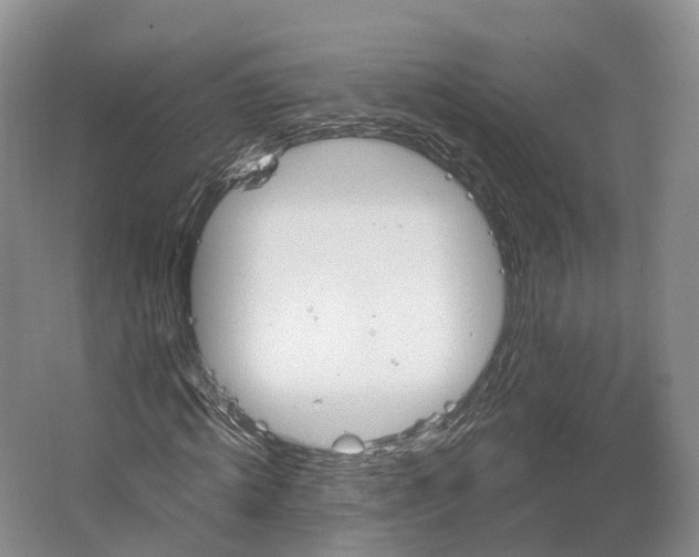 X0000064720820200602241636