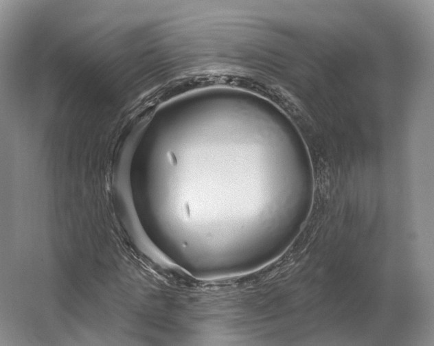 X0000064720821200602241636