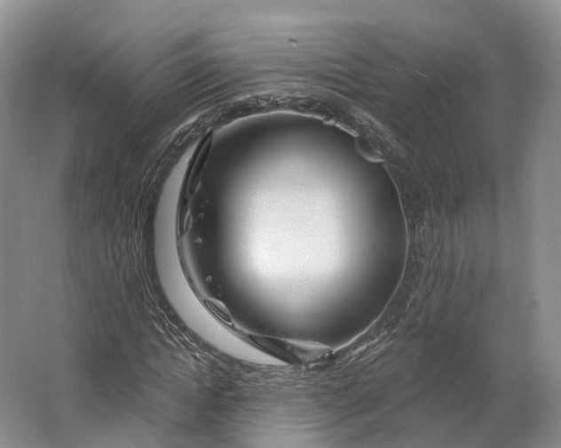 X0000064720822200602241636