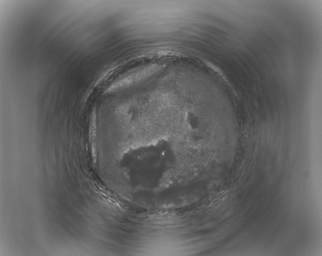 X0000064720823200602241636