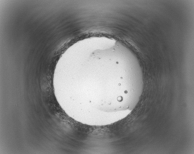 X0000064720824200602241636