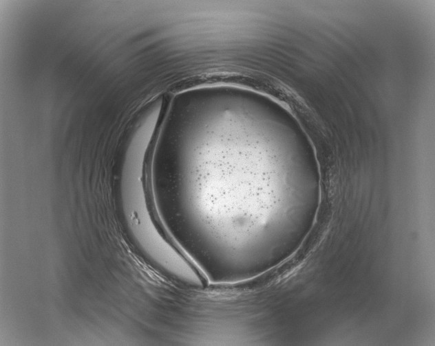 X0000064720825200602241636