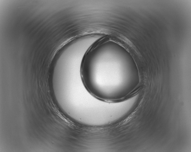 X0000064720826200602241636