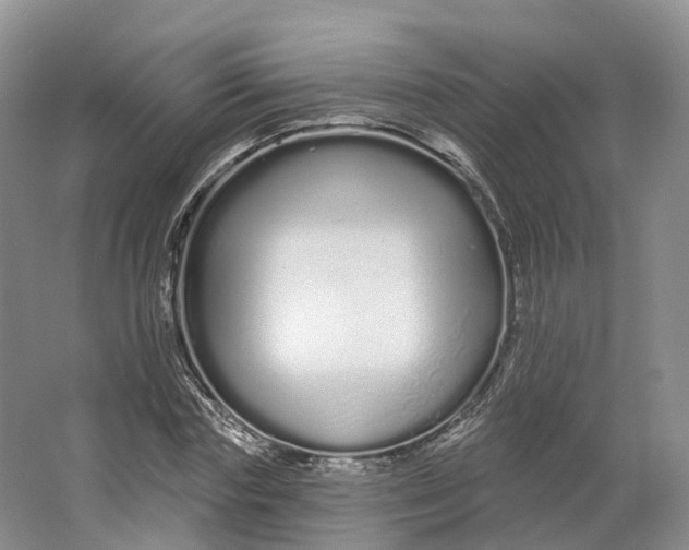 X0000064720827200602241636