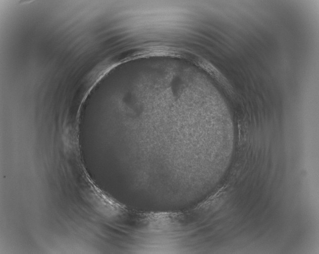 X0000064720828200602241636