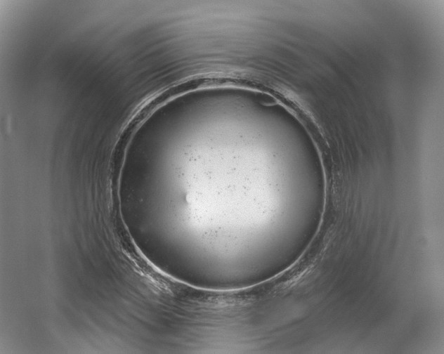 X0000064720829200602241636