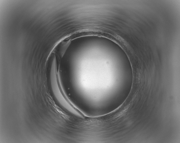 X0000064720830200602241636