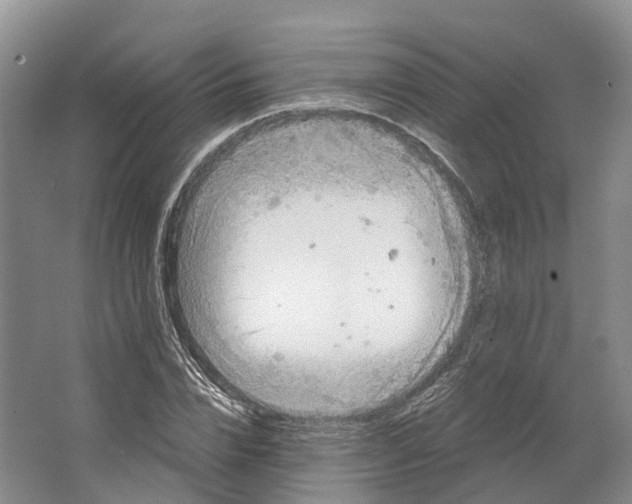 X0000064720832200602241636