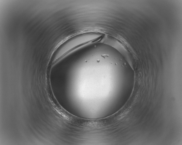 X0000064720834200602241636